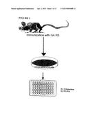 PROCESS FOR THE MEASUREMENT OF THE POTENCY OF GLATIRAMER ACETATE diagram and image