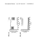 COMPOSITIONS AND METHODS FOR THE DETECTION OF ZINC diagram and image