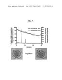 COMPOSITIONS AND METHODS FOR THE DETECTION OF ZINC diagram and image