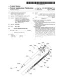 SYRINGE WITH ALTERNATIVELY SELECTABLE GRADUATIONS diagram and image