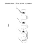 MOUSE ARTIFICIAL CHROMOSOME VECTOR diagram and image