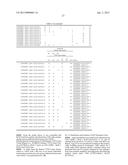 MOUSE ARTIFICIAL CHROMOSOME VECTOR diagram and image