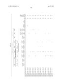 MOUSE ARTIFICIAL CHROMOSOME VECTOR diagram and image