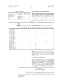 MOUSE ARTIFICIAL CHROMOSOME VECTOR diagram and image