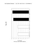 MOUSE ARTIFICIAL CHROMOSOME VECTOR diagram and image