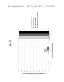 MOUSE ARTIFICIAL CHROMOSOME VECTOR diagram and image