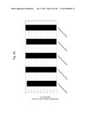 MOUSE ARTIFICIAL CHROMOSOME VECTOR diagram and image