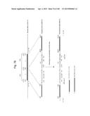 MOUSE ARTIFICIAL CHROMOSOME VECTOR diagram and image