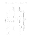 MOUSE ARTIFICIAL CHROMOSOME VECTOR diagram and image