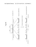 MOUSE ARTIFICIAL CHROMOSOME VECTOR diagram and image