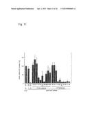 RNA-INTERFERENCE BY SINGLE-STRANDED RNA MOLECULES diagram and image