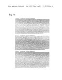 RNA-INTERFERENCE BY SINGLE-STRANDED RNA MOLECULES diagram and image