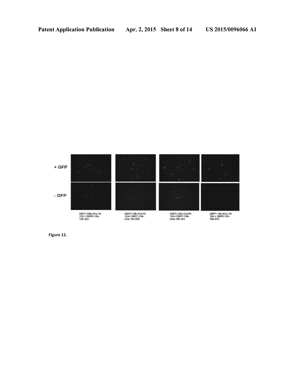 TARGET MOLECULES FOR TRANSCRIPTIONAL CONTROL SYSTEMS - diagram, schematic, and image 09