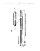 ACTIVATION TAGGING PLATFORM FOR MAIZE, AND RESULTANT TAGGED POPULATIONS     AND PLANTS diagram and image