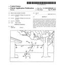 DOG LEASH AND RUN SYSTEM diagram and image