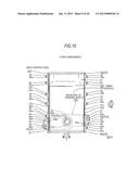 INTERNAL COMBUSTION ENGINE AND STRUCTURE OF CHAIN COVER OF THE SAME diagram and image