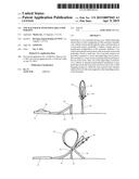TOY RACETRACK WITH MOVEABLE LOOP PORTION diagram and image