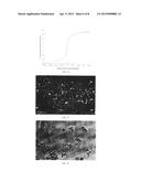 APPLICATION OF LACTAM AS SOLVENT IN NANOMATERIAL PREPARATION diagram and image