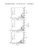 PHARMACEUTICAL COMPOSITION, METHOD AND KIT FOR DETECTING HUMAN MELANOMA     CELLS diagram and image