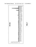 ANTI-FCRH5 ANTIBODIES diagram and image