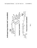 METHODS TO DETECT A FUNGAL CELL diagram and image