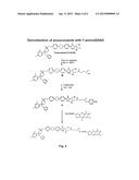 METHODS TO DETECT A FUNGAL CELL diagram and image