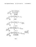 METHODS TO DETECT A FUNGAL CELL diagram and image