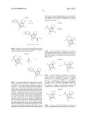 ISOXAZOLINE INSECTICIDES diagram and image