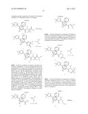 ISOXAZOLINE INSECTICIDES diagram and image