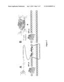 Induction of highly specific antibodies to a hapten but not to a carrier     peptide by immunization diagram and image