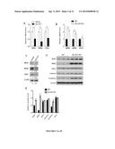 Modulators of ACYL-COA Lysocardiolipin Acyltransferase 1 (ALCAT1) and Uses     Thereof diagram and image