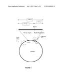 PROTEIN CONSTRUCTS DESIGNED FOR TARGETING AND LYSIS OF CELLS diagram and image