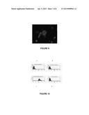 PROTEIN CONSTRUCTS DESIGNED FOR TARGETING AND LYSIS OF CELLS diagram and image