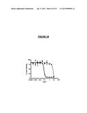 COMPOSITIONS AND METHODS FOR THE DIAGNOSIS AND TREATMENT OF TUMOR diagram and image