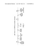 Compositions and Methods Related to CRISPR Targeting diagram and image