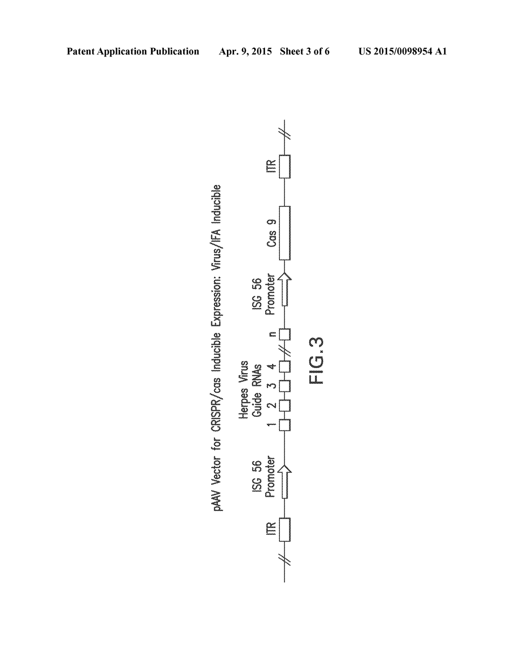 Compositions and Methods Related to CRISPR Targeting - diagram, schematic, and image 04