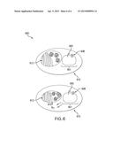 Compositions and Methods Related to CRISPR Targeting diagram and image