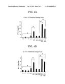 Mucosal Immunity-Stimulating Agent, and Oral Pharmaceutical Composition     for Treating HPV Infection diagram and image