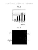 Mucosal Immunity-Stimulating Agent, and Oral Pharmaceutical Composition     for Treating HPV Infection diagram and image