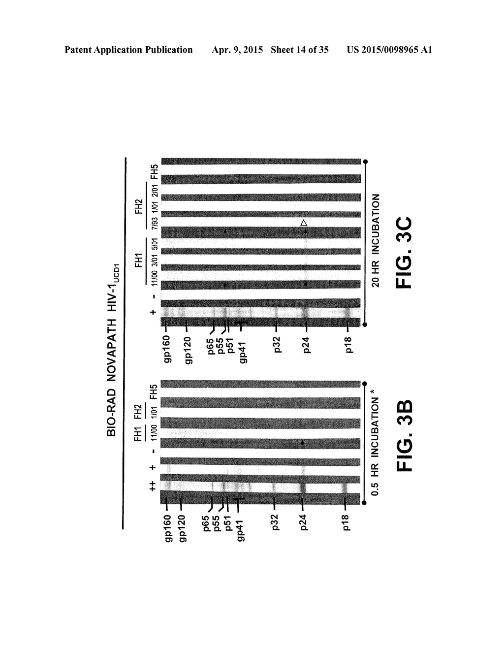 MATERIALS AND METHODS FOR DETECTING, PREVENTING, AND TREATING RETROVIRAL     INFECTION - diagram, schematic, and image 15