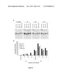 Influenza vaccines diagram and image