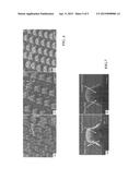 NANOLITHOGRAPHY USING LIGHT SCATTERING FROM PARTICLES AND ITS APPLICATIONS     IN CONTROLLED MATERIAL RELEASE diagram and image