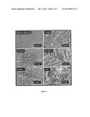 METHOD FOR MASS PRODUCTION OF SILICON NANOWIRES AND/OR NANOBELTS, AND     LITHIUM BATTERIES AND ANODES USING THE SILICON NANOWIRES AND/OR NANOBELTS diagram and image