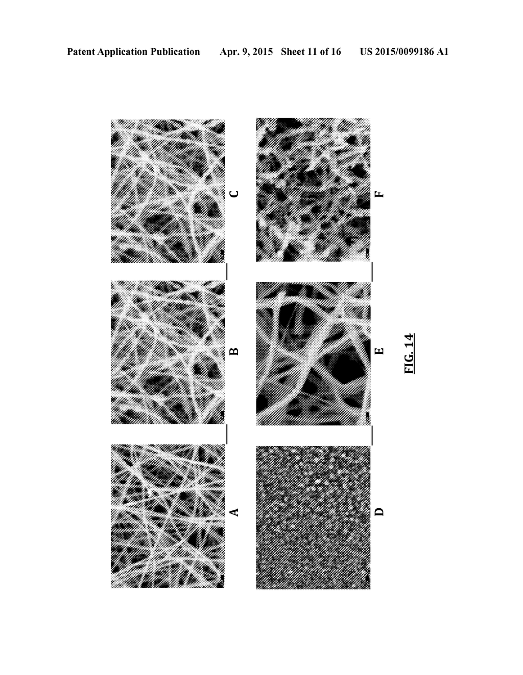 SILICON NANOCOMPOSITE NANOFIBERS - diagram, schematic, and image 12