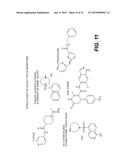 Immortalization of Epithelial Cells and Methods of Use diagram and image