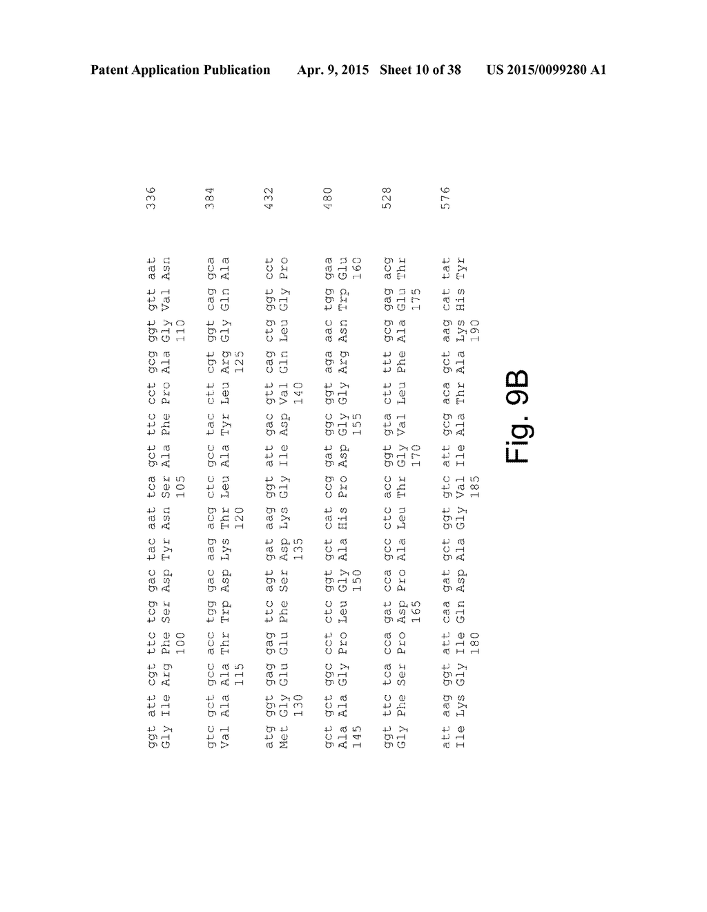 Variants of Beta-Glucosidase - diagram, schematic, and image 11