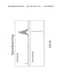 NUCLEIC ACID AMPLIFICATION PRIMERS FOR PCR-BASED CLONALITY STUDIES diagram and image