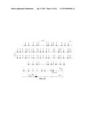 NUCLEIC ACID AMPLIFICATION PRIMERS FOR PCR-BASED CLONALITY STUDIES diagram and image