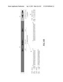 NUCLEIC ACID AMPLIFICATION PRIMERS FOR PCR-BASED CLONALITY STUDIES diagram and image