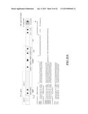 NUCLEIC ACID AMPLIFICATION PRIMERS FOR PCR-BASED CLONALITY STUDIES diagram and image